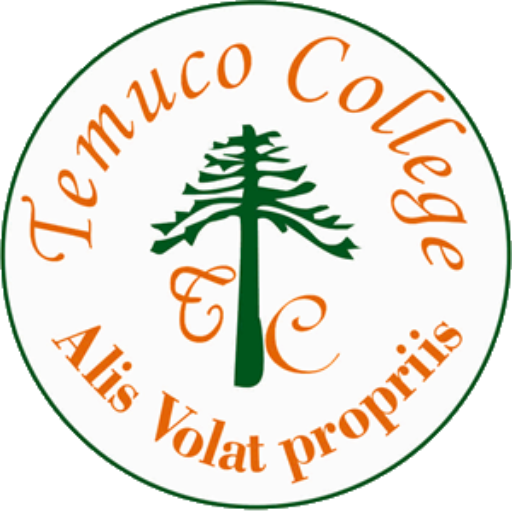 Temuco College